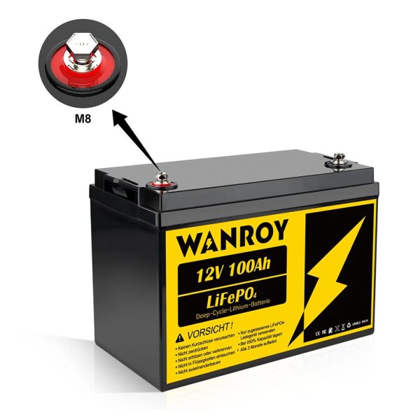 Wanroy Batteria LifePO4 12V 100Ah con 100A BMS